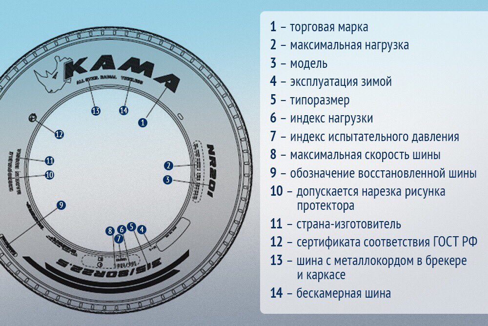 шины